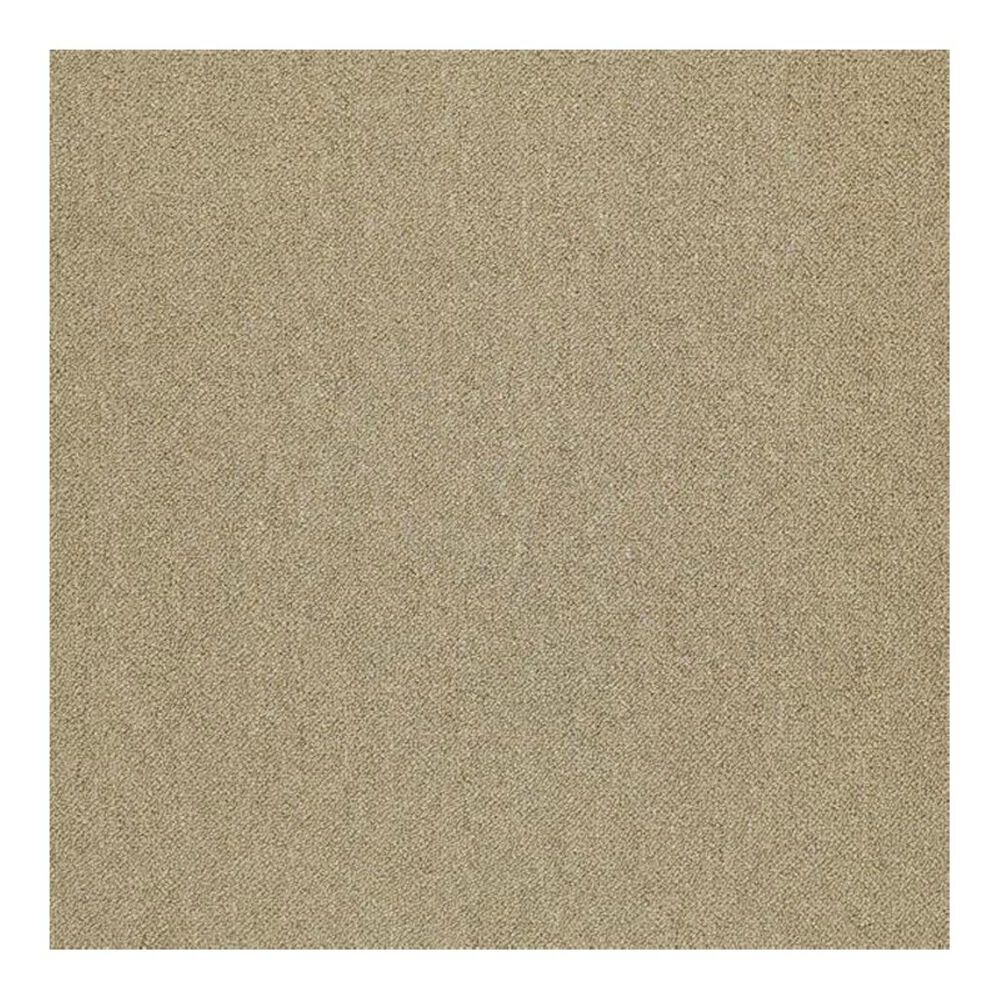 Shaw Counterpart 24" x 24" Carpet Tile in Copy Cat, , large