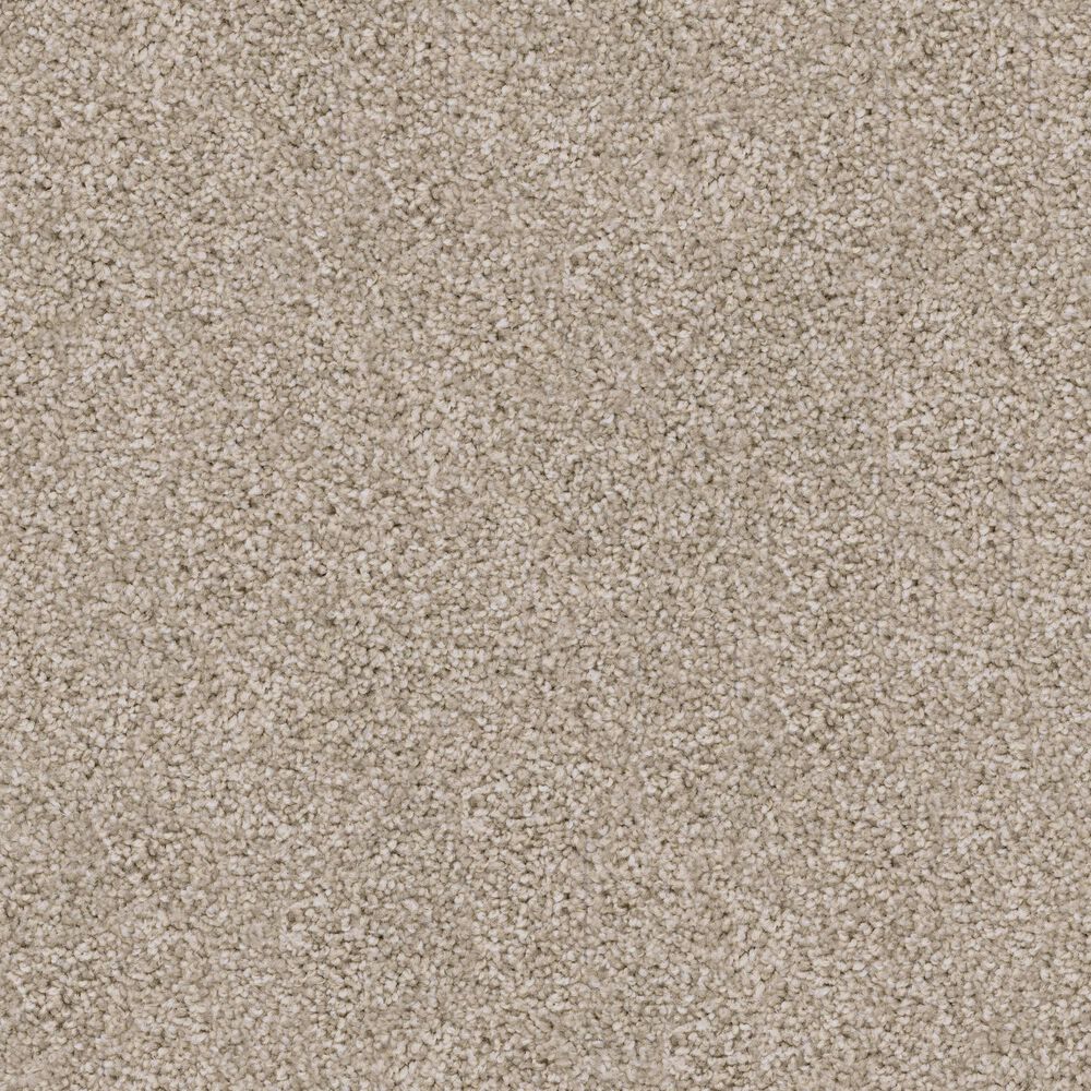 Dixie Home Trapper Carpet in Pomeranian, , large