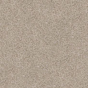 Dixie Home Trapper Carpet in Pomeranian, , large