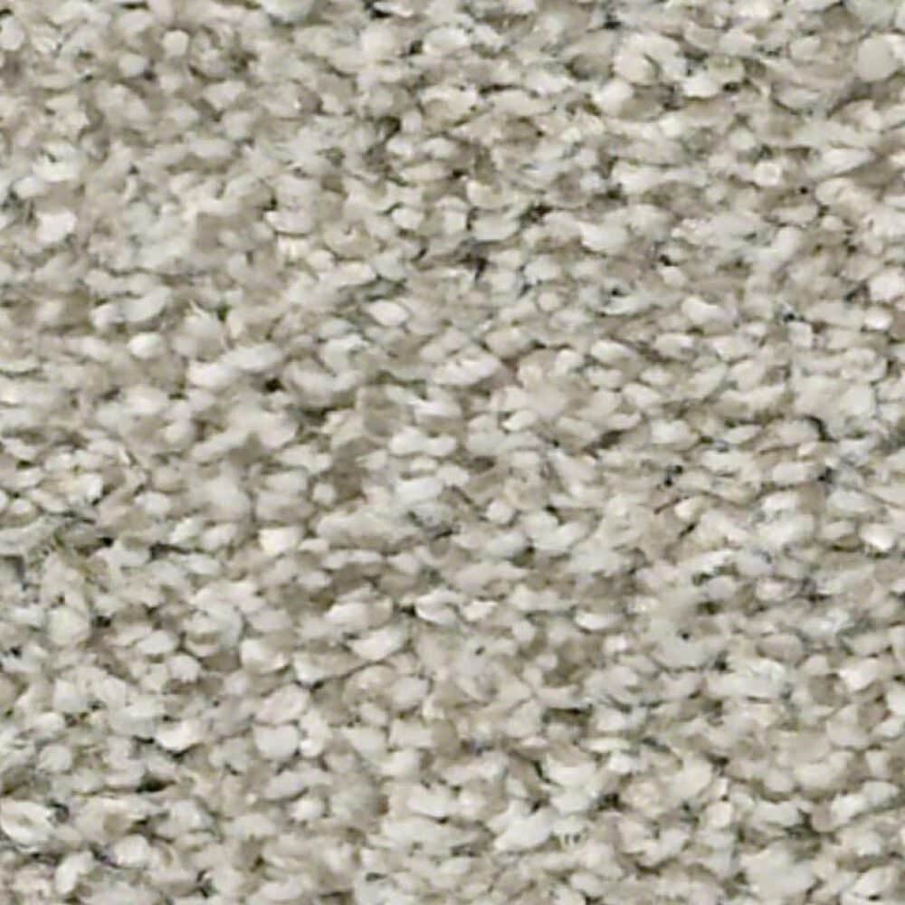 Shaw Just A Hint II Carpet in Flax, , large