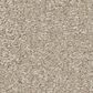 Shaw Bold Move Plus Carpet in Bisque, , large