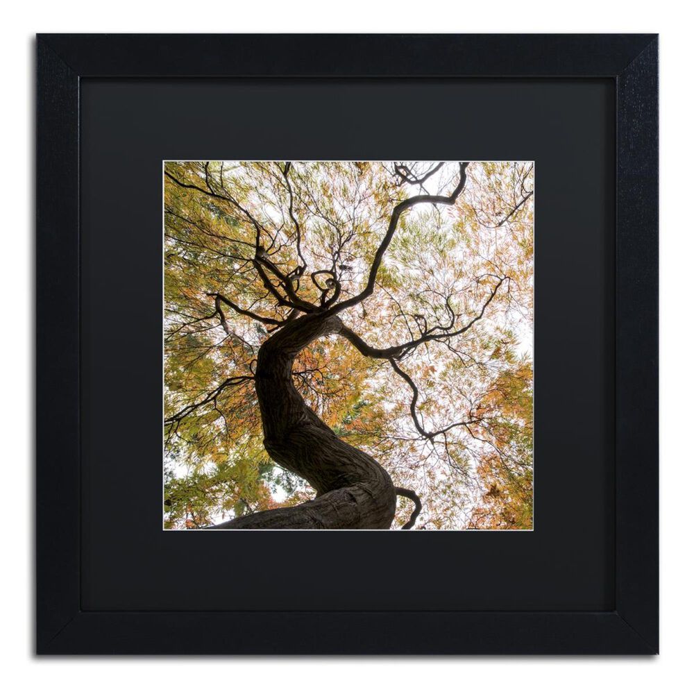 Timberlake 11" x 11" Under a Japanese Maple 2 Art in Black Matting and Black Frame, , large