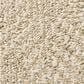 Anderson Tuftex Ario Carpet in Parchment, , large