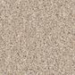 Shaw Imaginable I Carpet in Dunes, , large