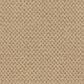 Masland Festivities Carpet in Basketry, , large