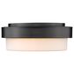 Golden Lighting Multi-Family 10.5" Flush Mount in Matte Black, , large