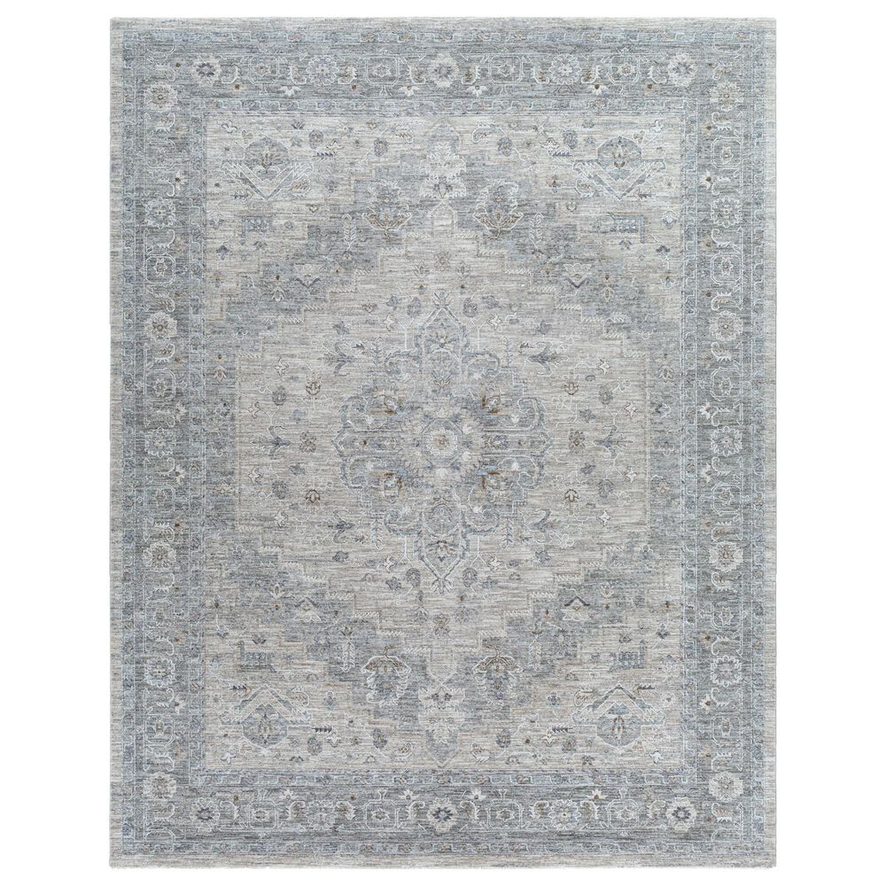 Surya Avant Garde 10" x 14" Gray, Beige and Denim Area Rug, , large