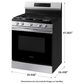 Samsung 6 Cu. Ft. Freestanding Gas Range with Self Clean in Stainless Steel, , large