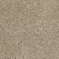 Shaw Barracan Classic IV Carpet in Pecan Bark, , large