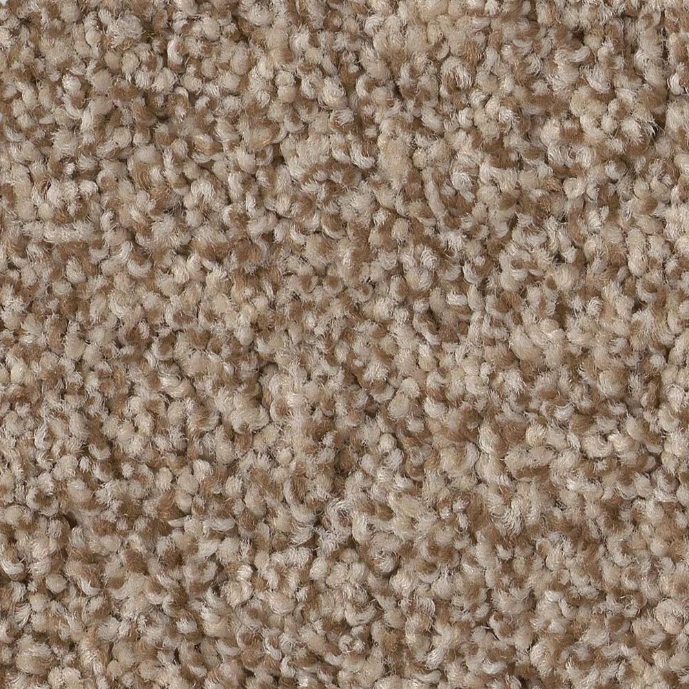 Anderson Tuftex Terra Nova Carpet in Nutshell, , large