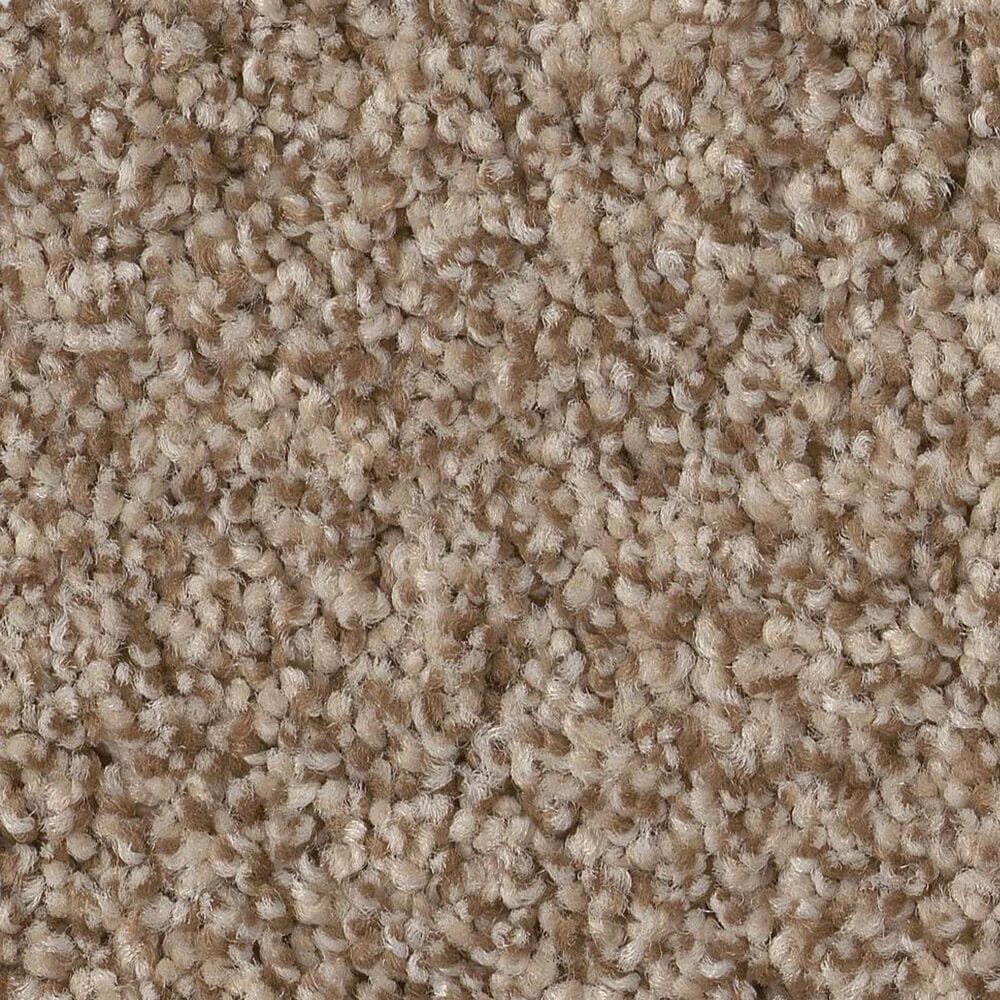 Anderson Tuftex Terra Nova Carpet in Nutshell, , large