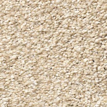 Shaw Tonal Comfort Ii Carpet in Sun Kissed, , large