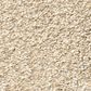 Shaw Tonal Comfort Ii Carpet in Sun Kissed, , large