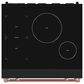 Thor Kitchen Gordon Ramsay 4.8 Cu. Ft. Professional Induction Range with Rose Gold Handle Kit in Black, , large