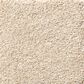 Shaw Your Comfort I Carpet in Happy Place, , large
