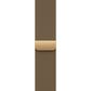 Apple Watch Series 12 (GPS + Cellular) 42mm Radiant Gold Titanium Case with Radiant Gold Milanese Loop and 2-Year AppleCare+, , large