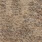 Amber Lewis x Loloi Suki 9"6" x 13"6" Natural and Bark Area Rug, , large
