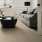 Shaw Tonal Comfort I Carpet in Walk On The Beach, , large