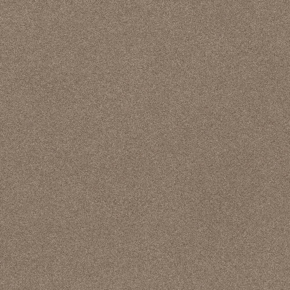 Shaw Tonal Comfort I Carpet in Camping Trip, , large
