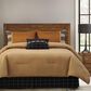 HiEnd Accents Ashbury 5-Piece Queen Comforter Set in Tan and Black, , large