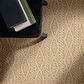 Anderson Tuftex Crochet Carpet in Branch, , large