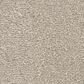 Revolution Mills Momentum II Carpet in Rocky Shore, , large