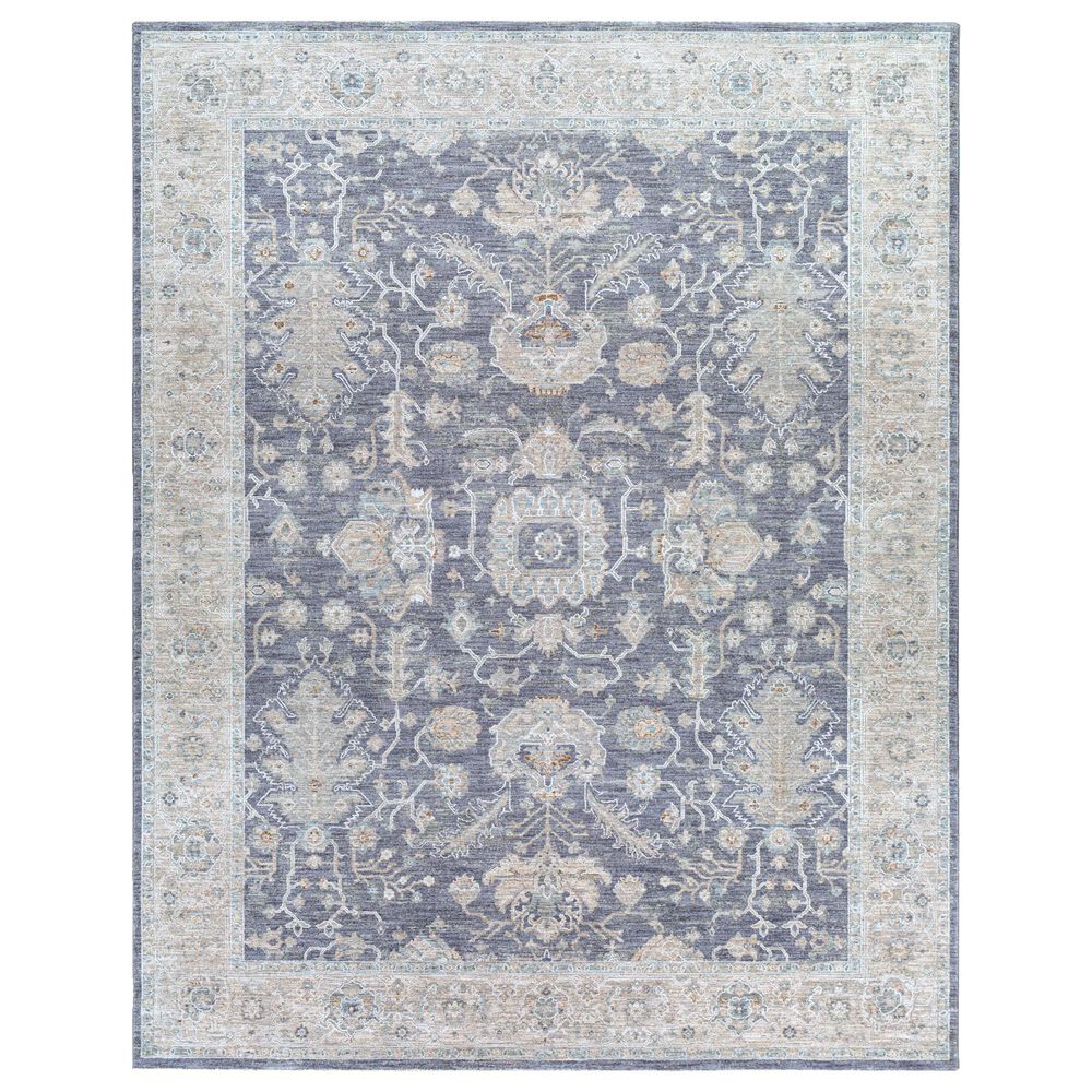Surya Avant Garde 10" x 14" Gray, Beige and Denim Area Rug, , large