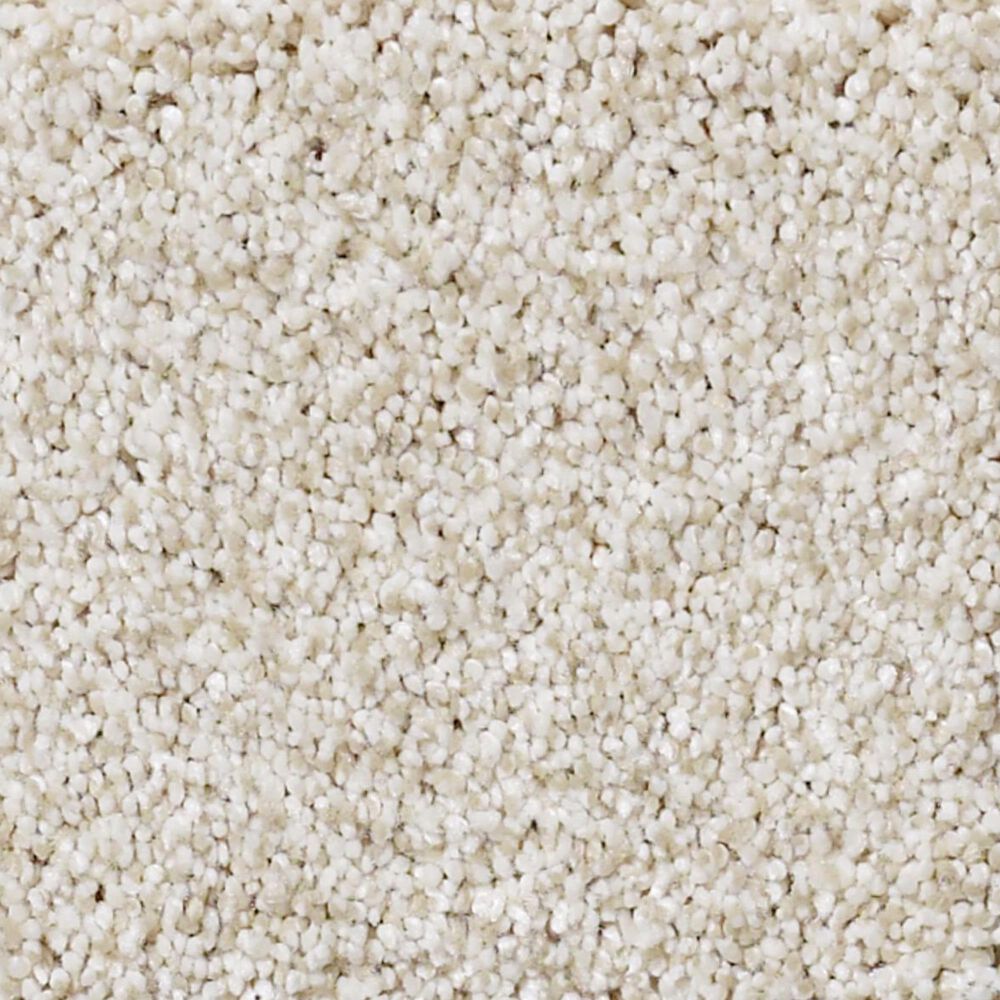 Shaw Foundations Take The Floor Tonal I Carpet in Cashmere, , large