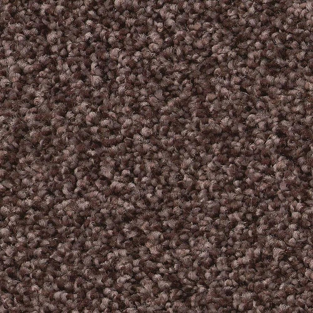 Shaw Tonal Comfort Blue Carpet in Winery, , large