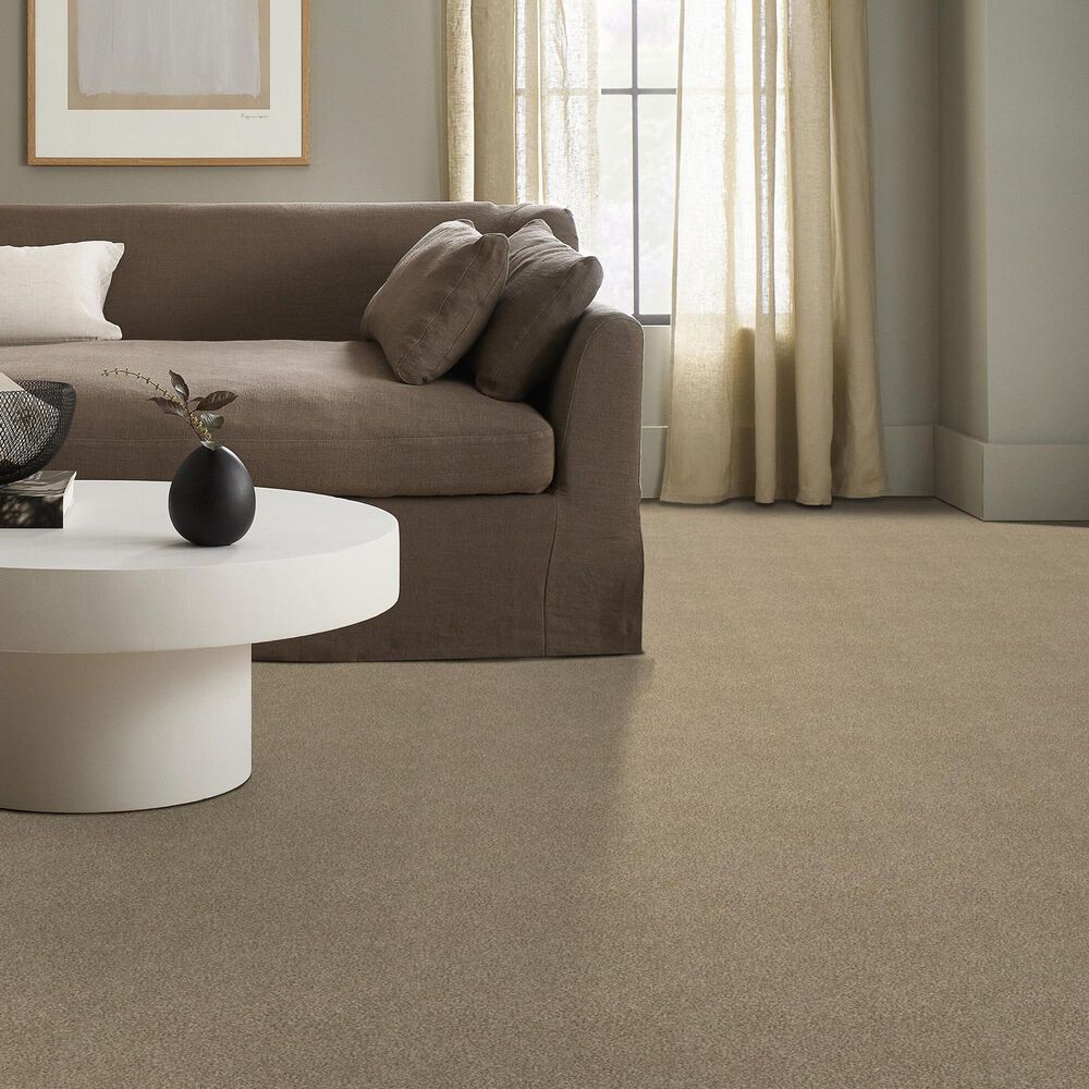 Shaw Tonal Comfort Blue Carpet in Honey Tea, , large