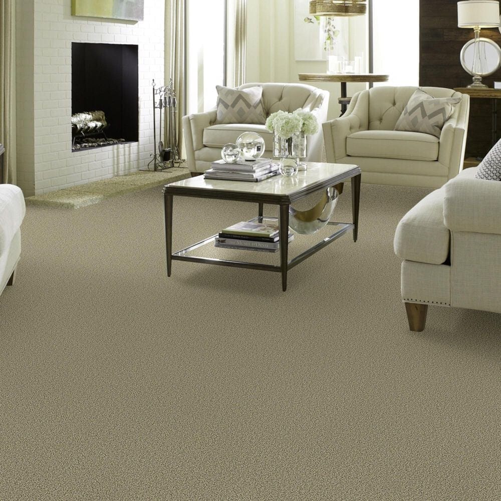 Shaw Detailed Statement Loop Carpet in Rocky Coast, , large