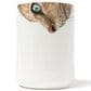 American Brand Studio 15 Oz Tan Cat Snout Mug in White, , large