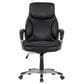 Primo International Palisade Office Desk Chair by Sealy in Black, , large