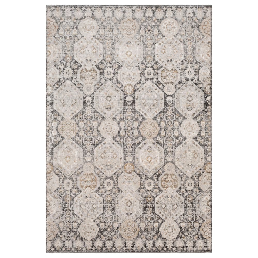 Surya Indigo IGO-2307 7"9" x 10"3" Black, Tan and White Area Rug, , large