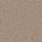 Anderson Tuftex Finery Carpet in Pebble Path, , large