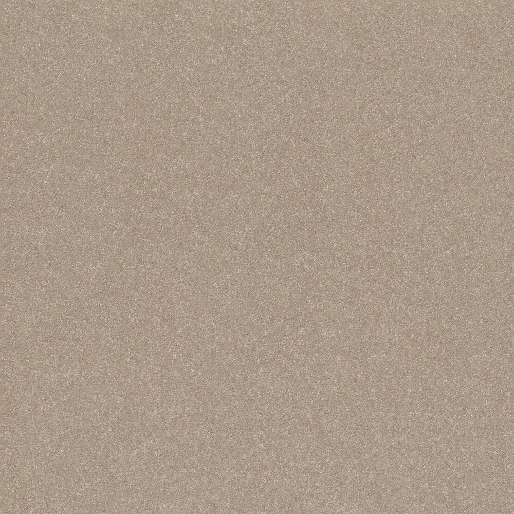 Shaw Hard At Play II Carpet in Subtle Clay, , large