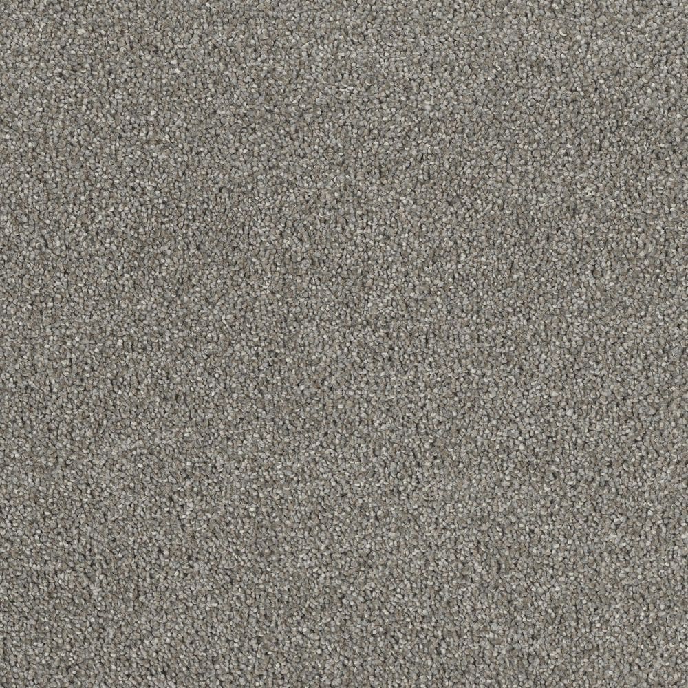 Dream Weaver Hollywood Carpet in Havana, , large
