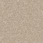 Shaw Awaken Spirit II 15" Carpet in Windfresh, , large