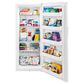 Frigidaire 16 Cu. Ft Upright Freezer in White, , large