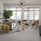 Anderson Tuftex Caress  Artistic Presence Carpet in Minimal, , large
