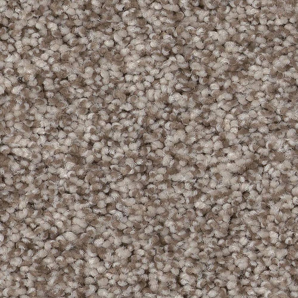 Anderson Tuftex Terra Nova Carpet in Pashmina, , large