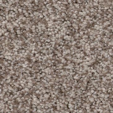 Anderson Tuftex Terra Nova Carpet in Pashmina, , large