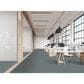 Masland Fascinating Carpet in Retro, , large