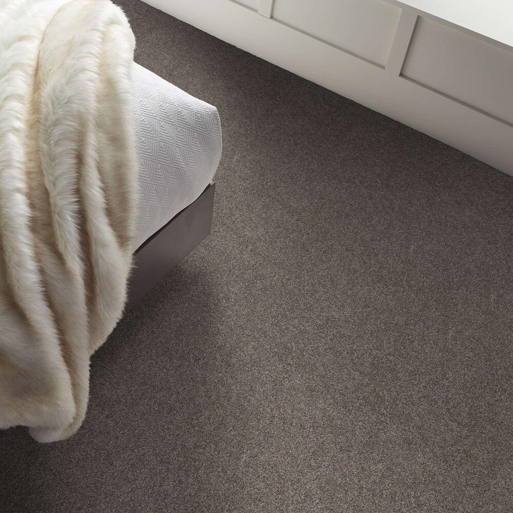 Shaw Grand Outlook Carpet in Homestead, , large