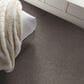 Shaw Grand Outlook Carpet in Homestead, , large