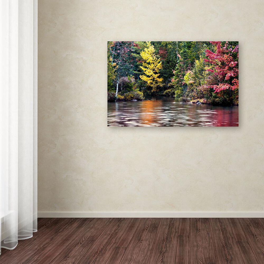 Timberlake David Ayash &#39;Adirondacks&#39; Canvas Art, , large