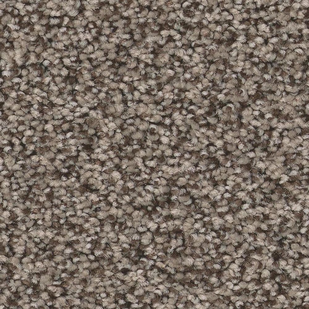 Anderson Tuftex Avalon Bay Carpet in Ottertail, , large