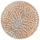 Oxford Contempo Caribbean Stoneware 20-Piece Dinnerware Set in Beige, Terracota and Blue, , large