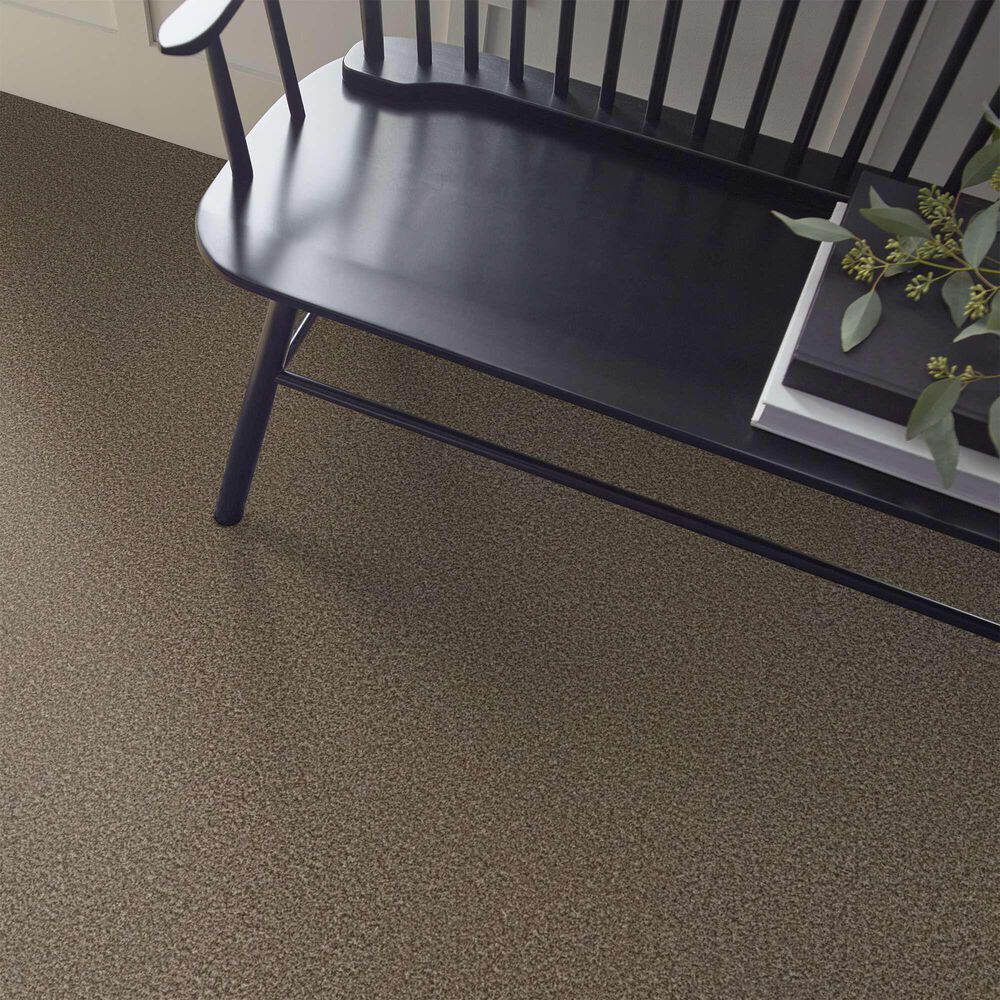 Shaw Renewed Energy I Carpet in Freckles, , large