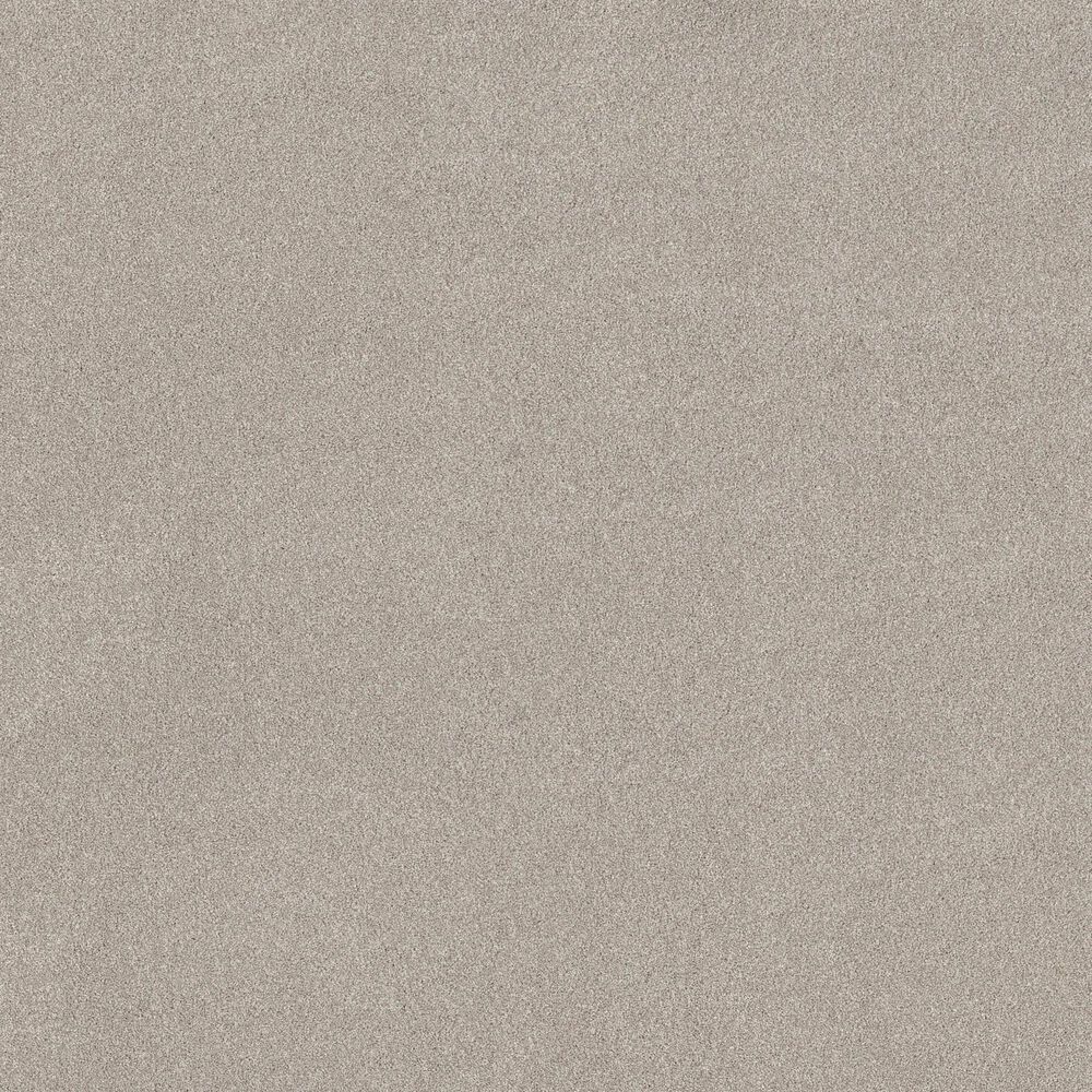 Philadelphia Delicate Feel I Carpet in Beige Mist, , large